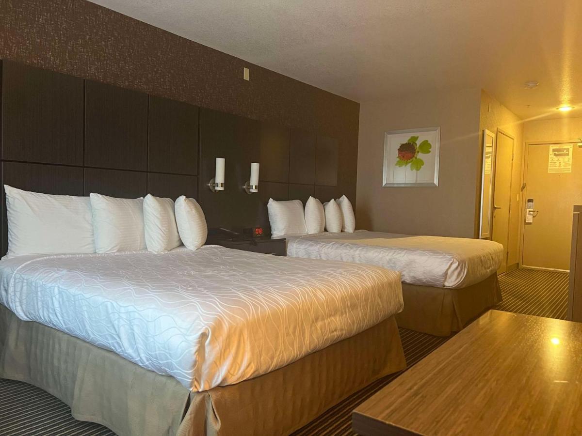 אוקדייל Best Western Plus Rama Inn & Suites מראה חיצוני תמונה